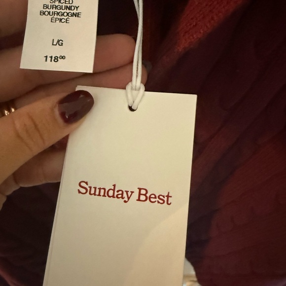 NWT Aritzia Sunday Best V-Neck Cable Knit Sweater in Spiced Burgundy - Picture 4 of 7